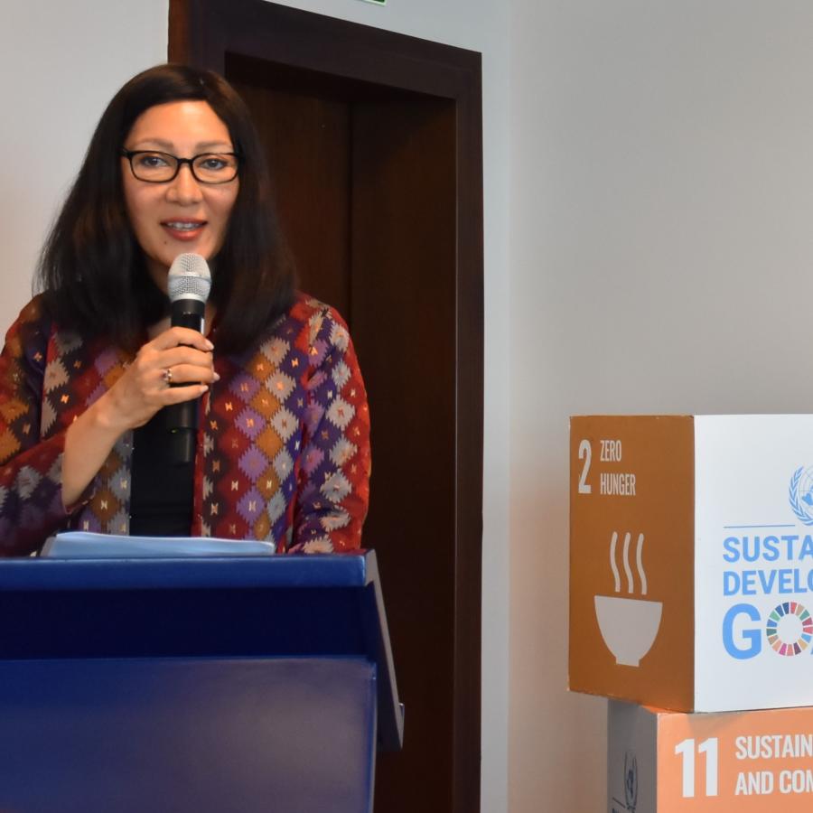 CEO Forum moving Forward Faster for the SDGs | United Nations in Mauritius