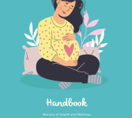Maternal and Child Health handbook Feb 2021