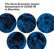 SEIA of COVID-19 in Mauritius 