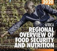 Africa Regional Overview of Food Security and Nutrition 2020