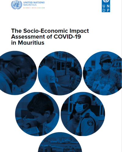 SEIA of COVID-19 in Mauritius 