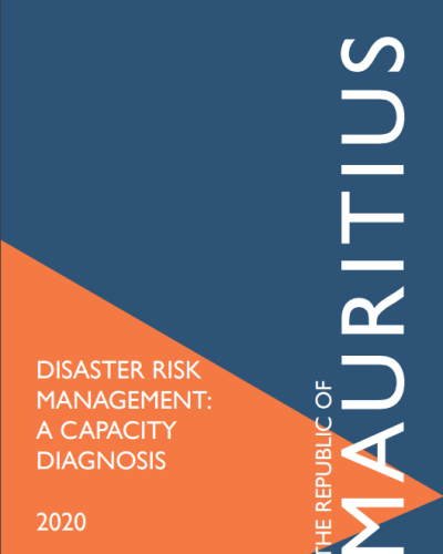 Mauritius Capacity Diagnosis Report 2020